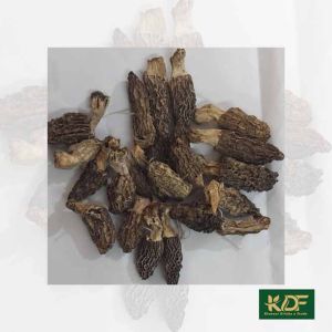 Guchhi Morel Mushroom