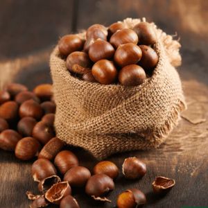 Natural Chest Nut