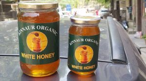 Organic White Honey