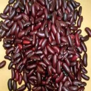 Red Kidney Bean