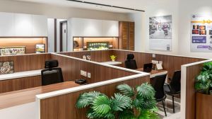 Commercial Plywood