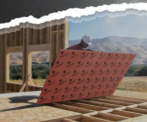 Shuttering Plywood