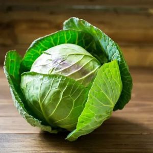 Fresh Green Cabbage
