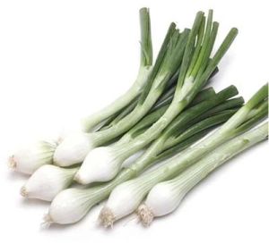 Fresh Green Onion