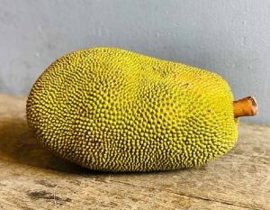 Fresh Jack Fruit
