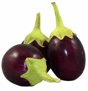 Fresh Round Brinjal