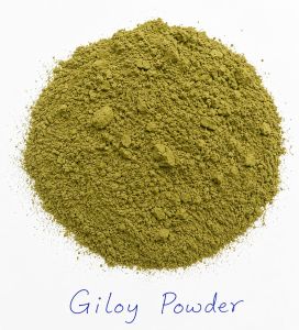 Guduchi Powder