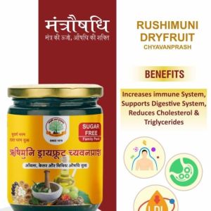 500 Gm Mantraushadhi Dry Fruit Chyawanprash