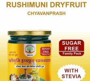 500 Gm Mantraushadhi Dry Fruit Chyawanprash