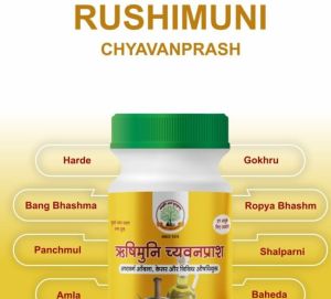 500 Gm Mantraushadhi Rushimuni Chyawanprash