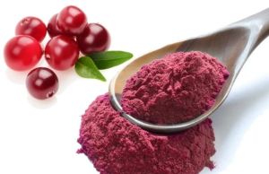 Natural Spray Dried Cranberry Powder