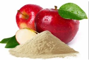 Spray Dried Apple Powder