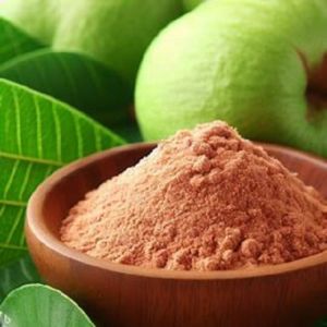 Spray Dried Guava Powder