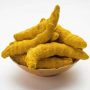 Lakadong Turmeric Finger