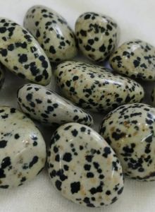 Dalmatian Tumbled Stones