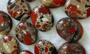 Red Conglomerate Palm Stone