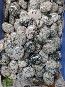 Tree Agate Palm Stone