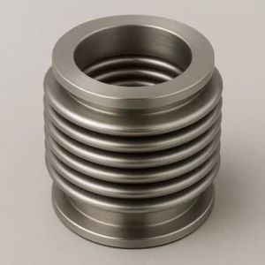 Pressure Balanced Expansion Bellow