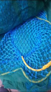 Safety Net
