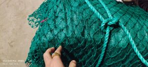 Safety Net