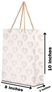 Designer Paper Gift Bag