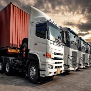 Delhi to Goa Container Truck Transport Services