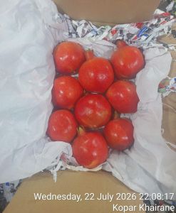 Pomogranate