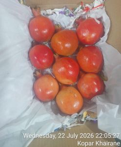 Pomogranate