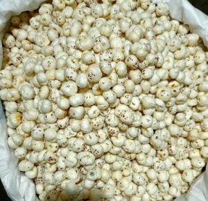 6 Suta Raw Makhana