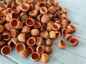 Coconut Shell
