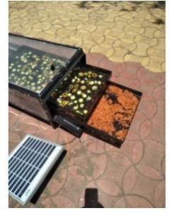 domestic solar cooking system