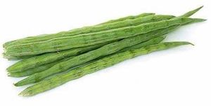 Export Quality Fresh Drumstick