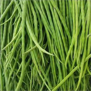 Natural Green Drumstick