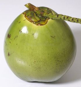 Green Tender Coconut