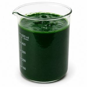 Spirulina Slurry Powder