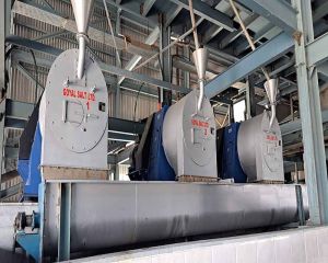 Salt Pusher Centrifuge