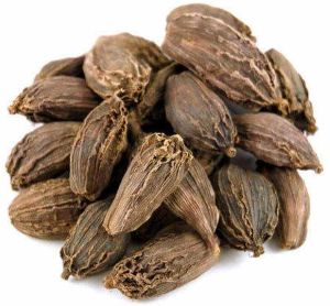 Bold Black Cardamom Pod