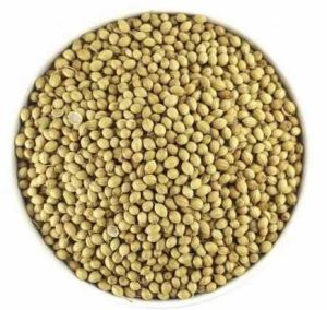 Eagle Coriander Seed