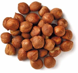 Hazelnut Nut