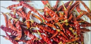 Mahi Teza Fatki Dry Red Chilli