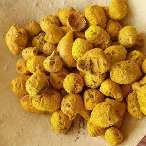 Salem Turmeric Bulb