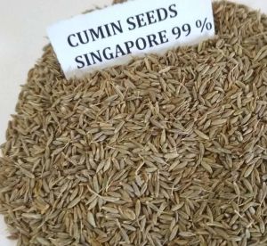 Singapore Cumin Seed