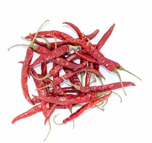 Teza S17 Fatki Red Chilli