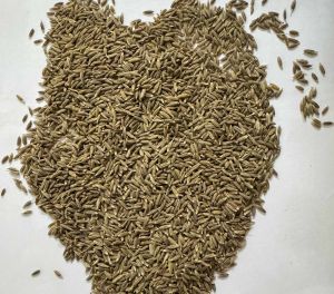 Whole Caraway Seed