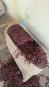 Byadgi Dry Red Chilli