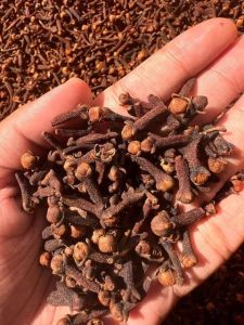 Dried Cloves