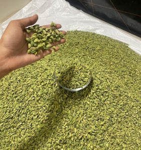 Green Cardamom Pods