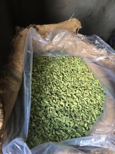 Green Cardamom Pods