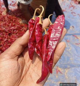 Teja Medium Dry Red Chilli