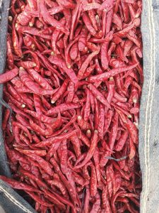 Teja Medium Dry Red Chilli